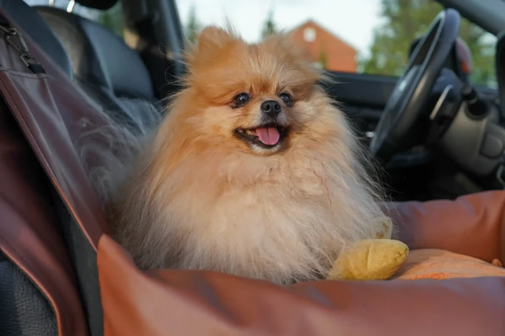 luxury dog car seats