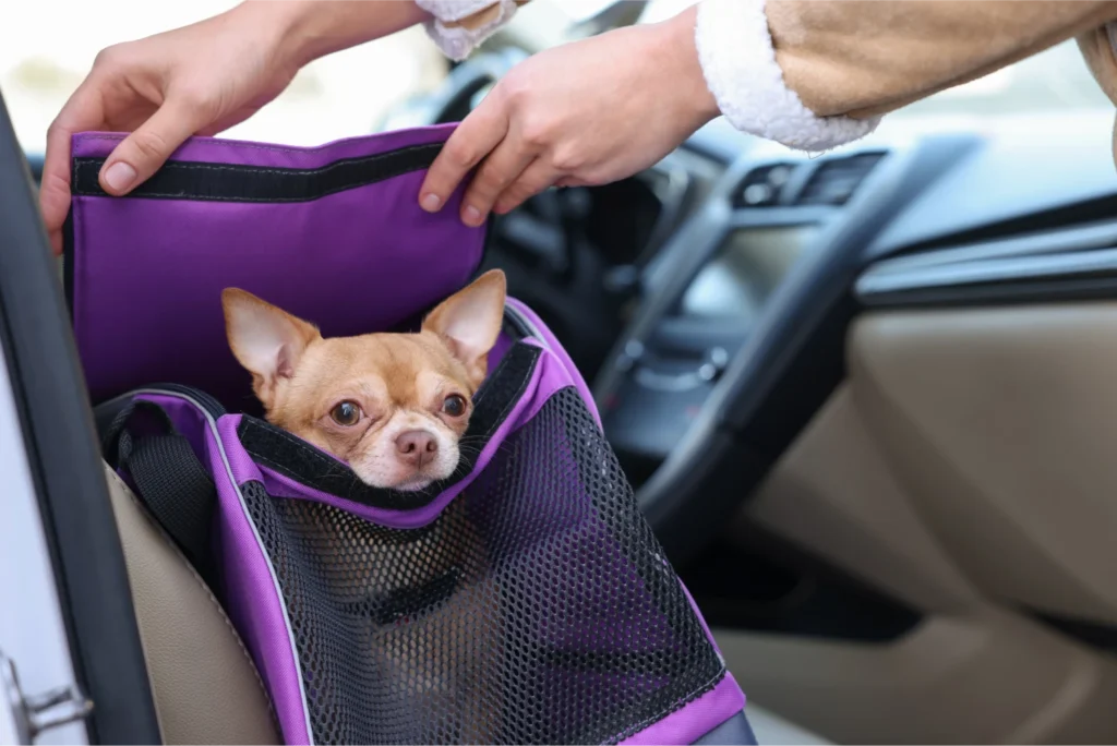 dog carrier for car seat