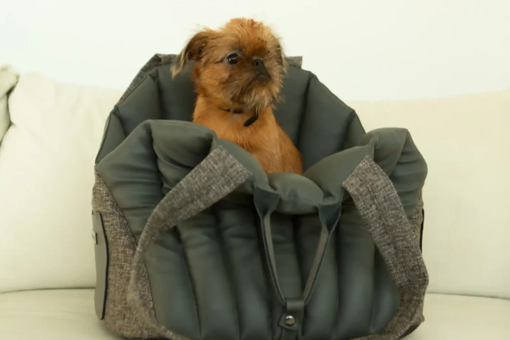 dog booster seat and carrier