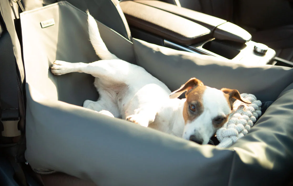 Kia Sorento Dog Car Seat for Bull Terriers