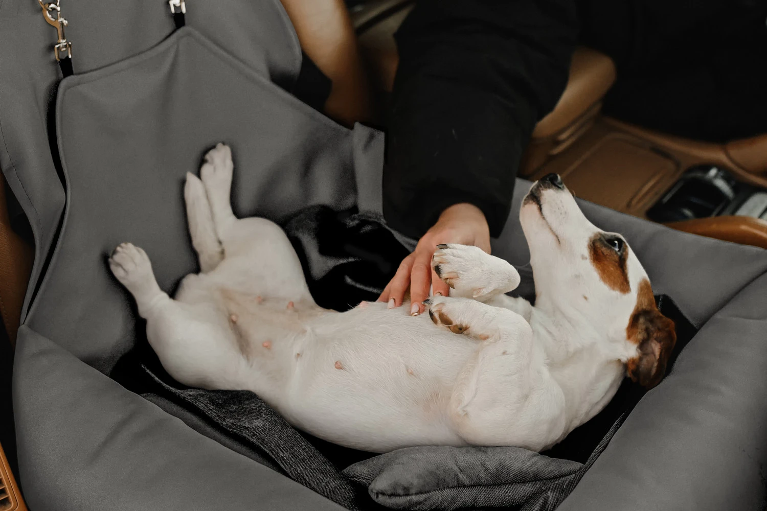 Chevrolet Malibu Dog Car Seat for Glen of Imaal Terriers