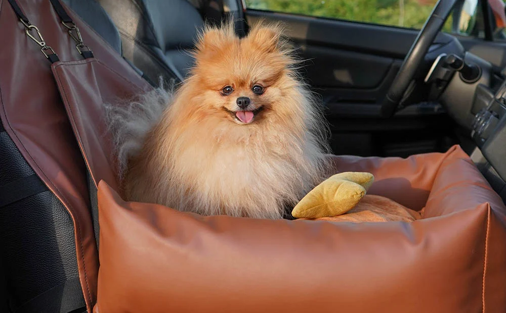 Volkswagen Jetta Dog Car Seat for Pugs