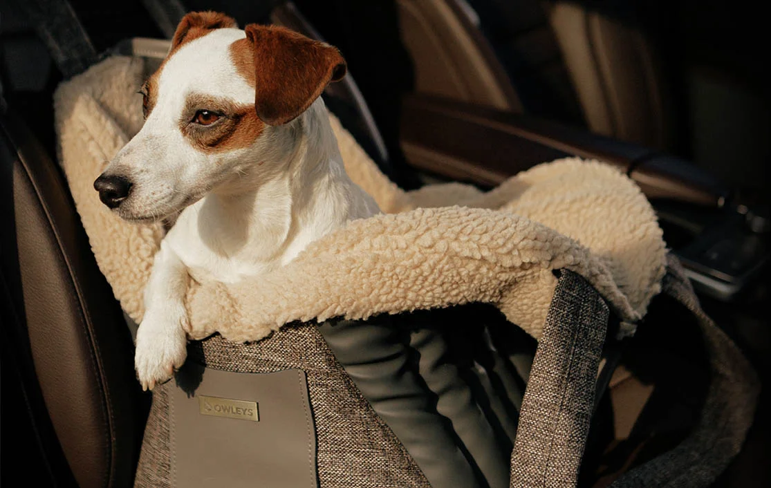 Dodge Charger Dog Carrier Car Seat for Toy Fox Terrier