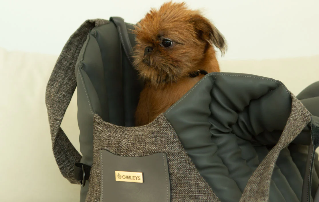 Tesla Model 3 Dog Carrier Car Seat for Norfolk Terrier