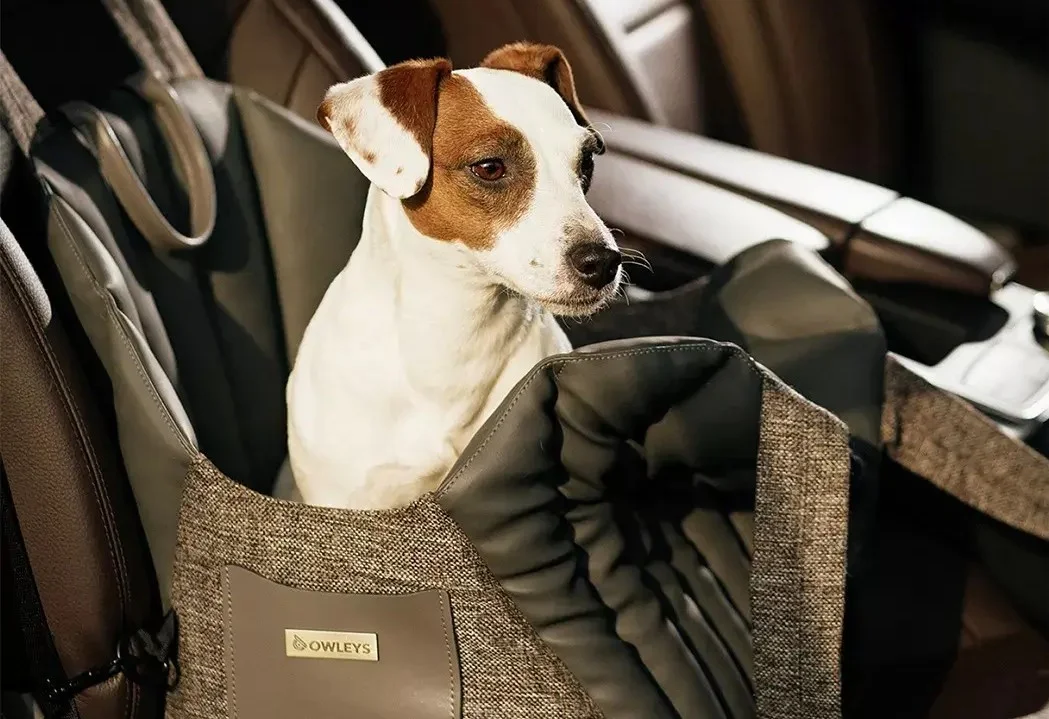 Jeep Wrangler Dog Carrier Car Seat for Australian Terrier