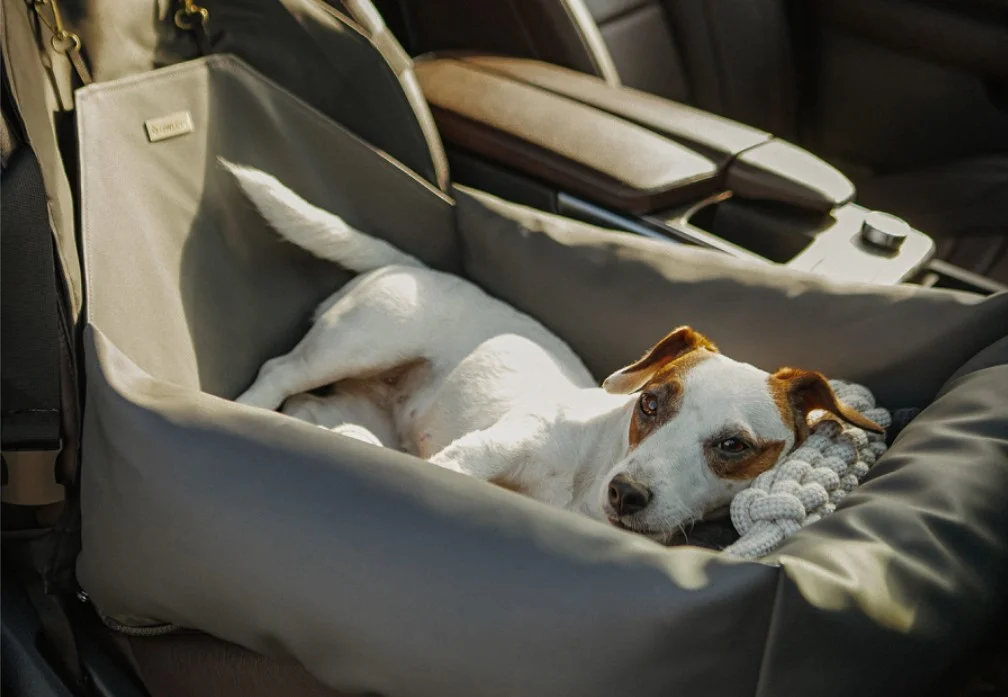 Volkswagen Tiguan Dog Car Seat for Bedlington Terriers