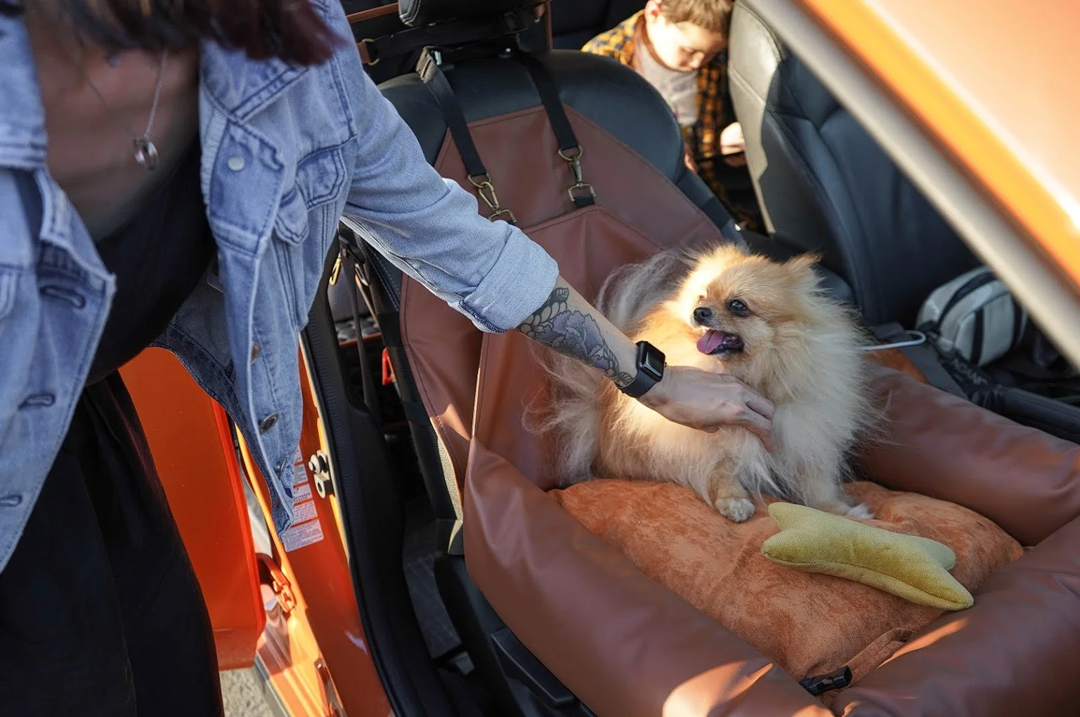 BMW 3 Series Dog Car Seat for Shar-Pei